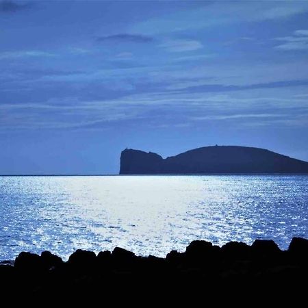 Alghero Sun & Sea - Spiaggia A 50 Metri Bagian luar foto