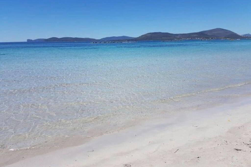 Alghero Sun & Sea - Spiaggia A 50 Metri Bagian luar foto