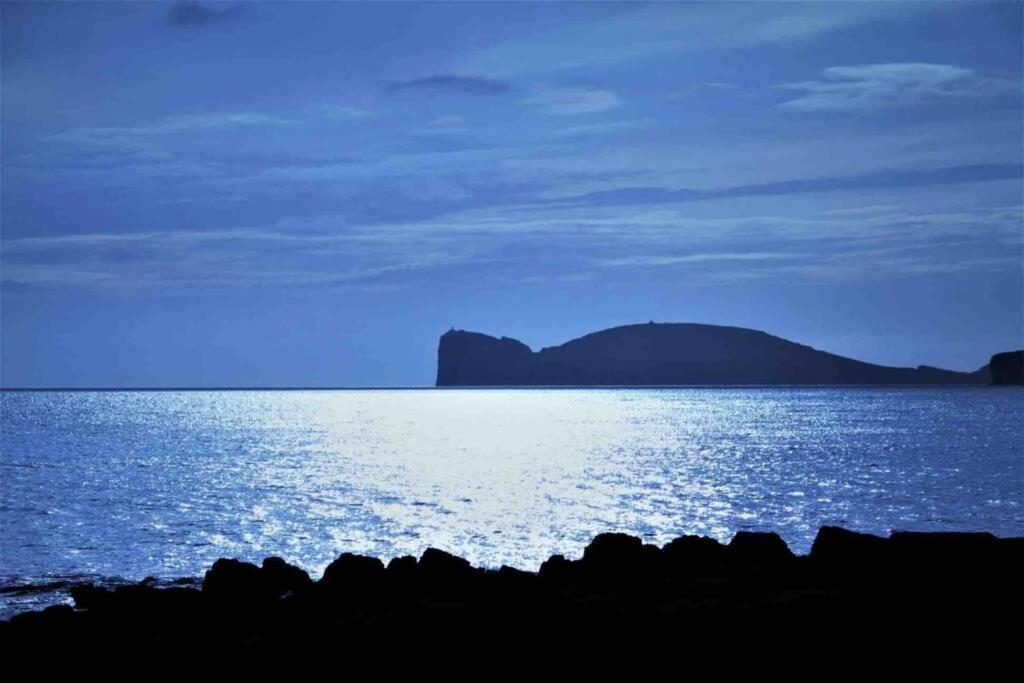 Alghero Sun & Sea - Spiaggia A 50 Metri Bagian luar foto