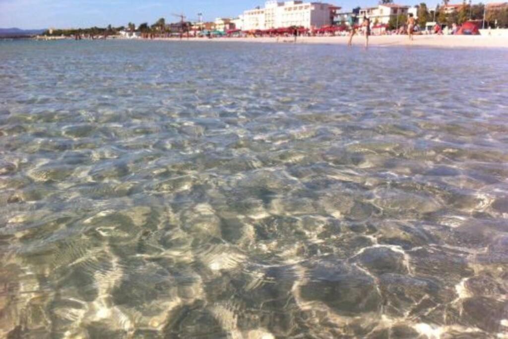 Alghero Sun & Sea - Spiaggia A 50 Metri Bagian luar foto